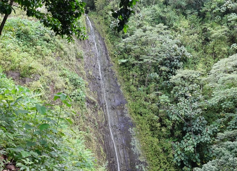 Why is Manoa Falls Trail one of the best place to visit?